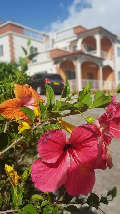 St. George'S Holiday Studio Vacation Of A Lifetime Fontenoy Exterior foto