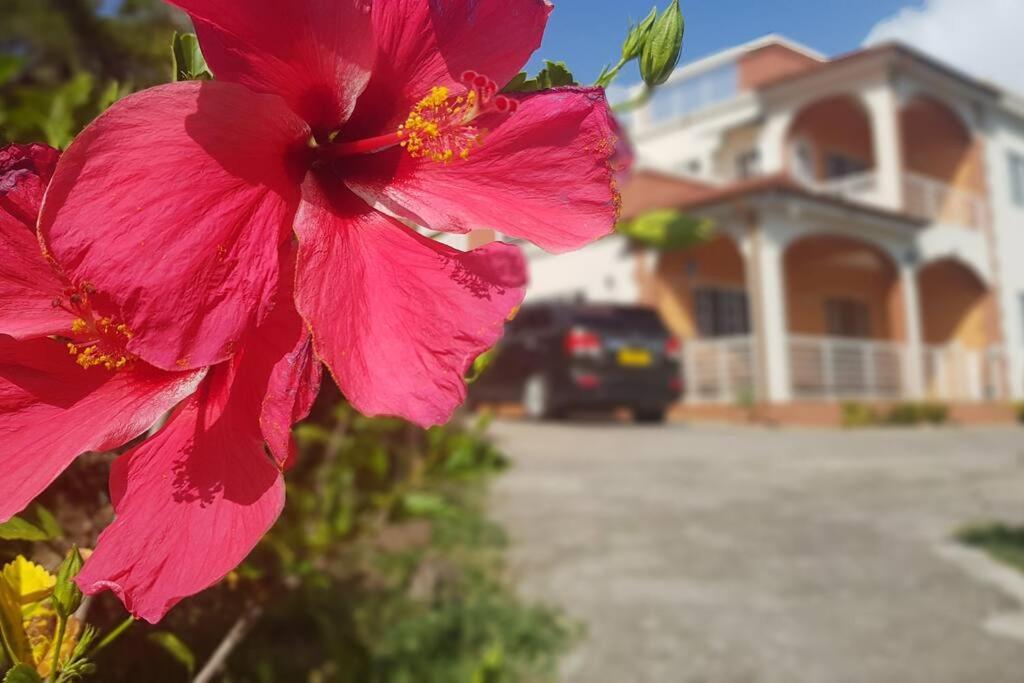St. George'S Holiday Studio Vacation Of A Lifetime Fontenoy Exterior foto